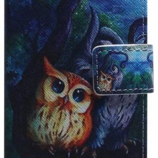 Plånboksfodral Samsung Galaxy S21 – Ugglor I Månsken